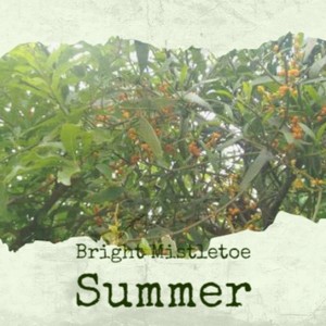 Bright Mistletoe Summer