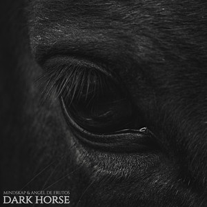 Dark Horse (Original Mix)