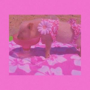 Coconut Brother (feat. NKY)