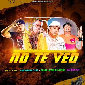 No Te Veo (feat. Lirico En La Casa, Patrick Boy & Chapa La Voz Del Patio) [Explicit]