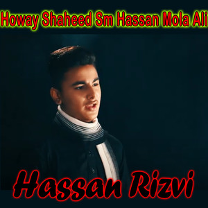 Howay Shaheed Sm Hassan Mola Ali - Single