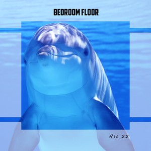 Bedroom Floor Hit 22