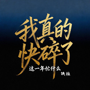 我真的快碎了（这一年忙什么）