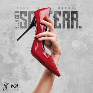 Ella Esta Soltera(feat. Seba Tc)
