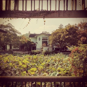 这世界那么多人