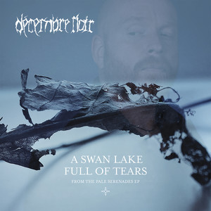 A Swan Lake Full of Tears