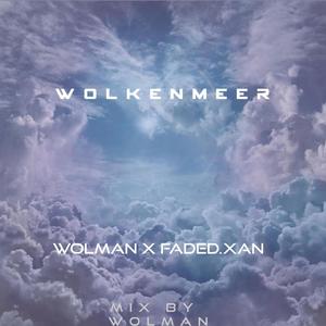 Wolkenmeer(feat. Wolman) (Explicit)