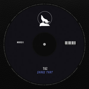 Shake That (Original Mix)
