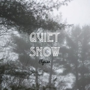 Quiet Snow