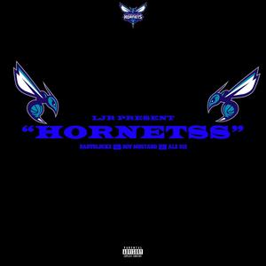 Hornets (feat. Ale512 & Babyglockz) (Explicit)