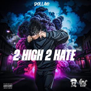 2 High 2 Hate (Explicit)