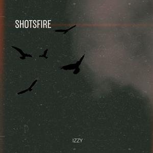Shotsfire