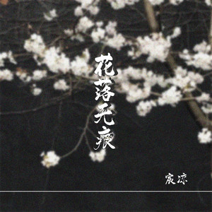花落无痕 (伴奏)