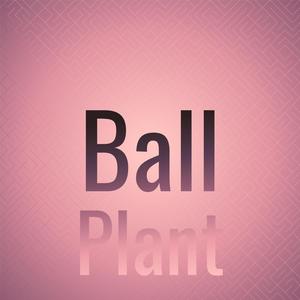 Ball Plant