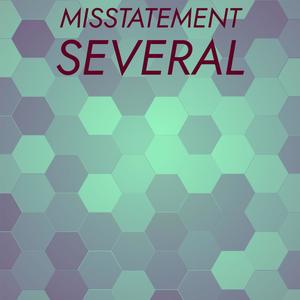 Misstatement Several