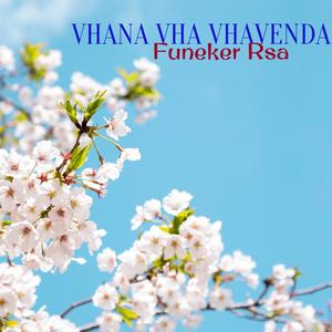 Vhana Vha Vhavenda (feat. Black Mishue) (Explicit)
