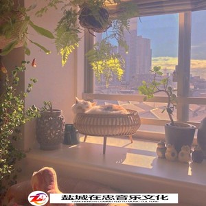 鸿门干声旋律