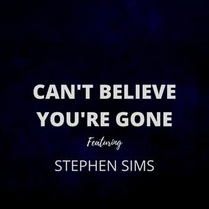 CAN'T BELIEVE YOU'RE GONE (feat. STEPHEN SIMS)