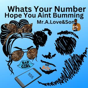 Whats Your Number Hope You Aint Bumming (feat. IV)