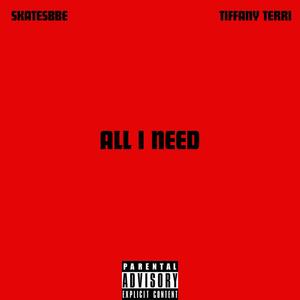 All I Need (feat. Tiffany Terri) (Explicit)