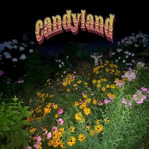 Candyland_Otari_30ips_Pushed
