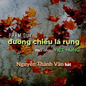 Đường Chiều Lá Rụng