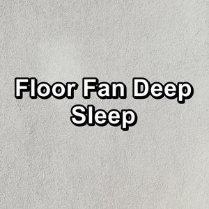 floor fan deep sleep