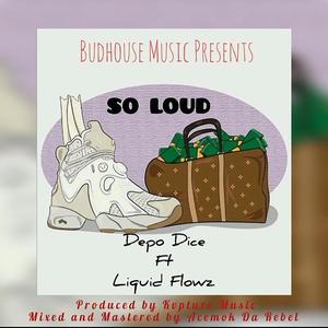 So Loud (feat. Liquid Flowz) [Explicit]