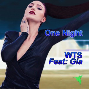 One Night (The Scene Kings Remix)