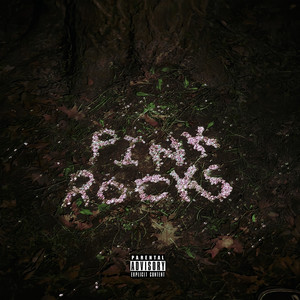 Pink Rocks! (Explicit)