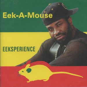 Eeksperience