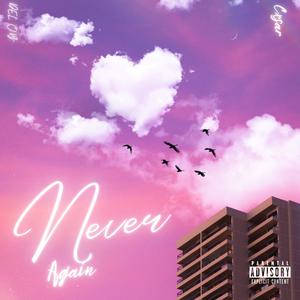 Never Again (feat. DEL O.B.)