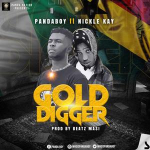 Gold Digger (feat. Nickle Kay) [Explicit]