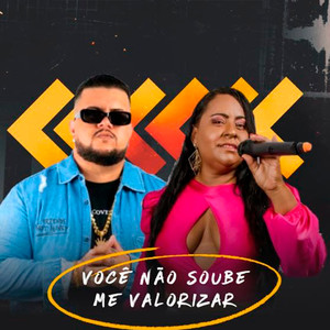 Você Não Soube Me Valorizar