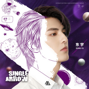 Single arrow