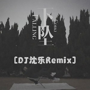 下坠Falling (DJ沈乐Remix0.9X)封面