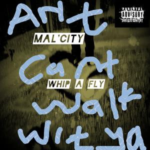 Mal'City (Whip a Fly) (Explicit)