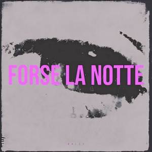 Forse la notte