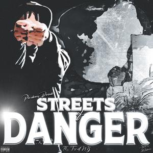 Streets of Danger (feat. Trip4nb) [Explicit]