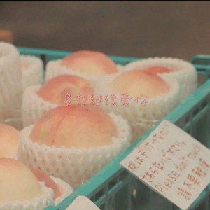 爱痕森林封面