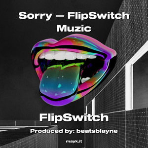 Sorry  FlipSwitch Muzic (Explicit)
