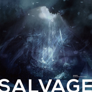 Salvage