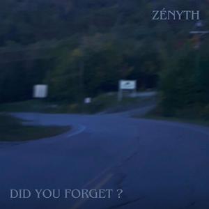 Did You Forget ?
