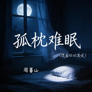 孤枕难眠（想着你的黑夜）封面