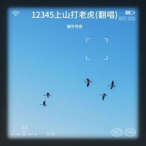 12345上山打老虎