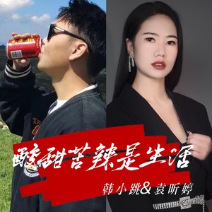 酸甜苦辣是生活 (伴奏)