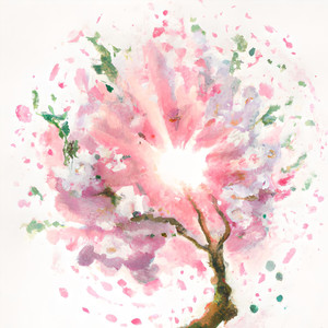 Cherry Blossom (Explicit)