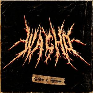 Wacho (feat. Wiloo) [Explicit]