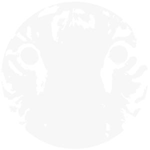 Crown (feat. Brais) (Explicit)