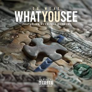 What You See (feat. Overlord Scooch)